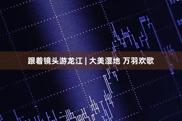 跟着镜头游龙江 | 大美湿地 万羽欢歌